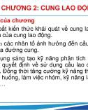 Bài giảng Kinh tế nguồn nhân lực - Chương 2: Cung lao động