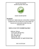 Khoá luận tốt nghiệp Đại học: Áp dụng quy trình chăm sóc, nuôi dưỡng và phòng trị bệnh cho đàn lợn nái sinh sản tại trại Trịnh Văn Thanh Nam, xã Đại Đồng, huyện Văn Lâm, tỉnh Hưng Yên