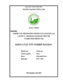 Khoá Luận tốt nghiệp đại học: Nghiên cứu bệnh hô hấp của lợn rừng lai (Đực rừng x Nái Meishan) giai đoạn theo mẹ và biện pháp phòng trị