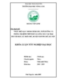 Khóa luận tốt nghiệp Đại học: Thực hiện quy trình chăm sóc, nuôi dưỡng và phòng trị bệnh trên đàn gà lông màu tại trại Bùi Văn Đàn, xã Trần Phú, huyện Chương Mỹ, Hà Nội