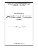 Báo cáo tóm tắt: Nghiên cứu xử lý nước thải chăn nuôi sau xử lý biogas trên địa bàn thành phố Đà Nẵng