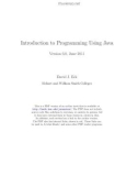 Ebook Introduction to Programming using Java: Part 1