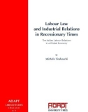 Ebook Labour law and industrial relations in recessionary times: The Italian labour relations in a global economy – Part 1