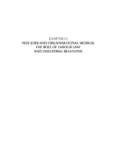 Ebook Labour law and industrial relations in recessionary times: The Italian labour relations in a global economy – Part 2