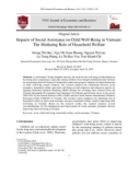 impacts of social assistance on child well being in Vietnam: The Mediating role of household Welfare