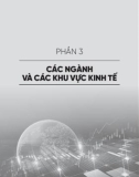 Kinh tế Việt Nam năm 2020 và triển vọng năm 2021 - Kỷ yếu hội thảo khoa học Quốc gia: Phần 2