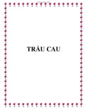 Truyện ma: Trầu cau