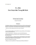 Con Vượn Bơi Trong Bể Kính