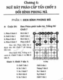 Ngũ bát pháo đối bình phong mã trong cờ tướng: Phần 2