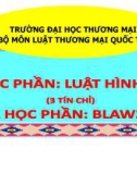 Bài giảng Luật Hình sự - Chương 1: Những vấn đề lý luận chung về Luật Hình sự Việt Nam