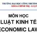 Bài giảng Luật Kinh tế (Economic Law) - Chương 9: Pháp luật hợp đồng kinh doanh thương mại