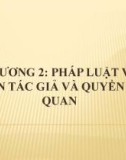 Bài giảng Luật sở hữu trí tuệ - Chương 2: Pháp luật về quyền tác giả và quyền liên quan