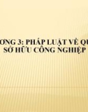 Bài giảng Luật sở hữu trí tuệ - Chương 3: Pháp luật về quyền sở hữu công nghiệp