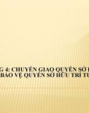 Bài giảng Luật sở hữu trí tuệ - Chương 4: Chuyển giao quyền sở hữu trí tuệ và bảo vệ quyền sở hữu trí tuệ