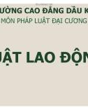 Bài giảng Pháp luật: Bài 4 - Phạm Thị Lưu Bình