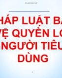 Bài giảng Pháp luật: Bài 8 - Pháp luật bảo vệ quyền lợi người tiêu dùng