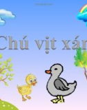 Bài giảng Lĩnh vực phát triển kĩ năng tình cảm xã hội - Bài: Chú vịt xám