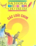 Câu hỏi và trả lời - Bách khoa tri thức cho trẻ em: Phần 2