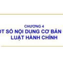 Bài giảng Pháp luật đại cương - Chương 4: Một số nội dung cơ bản của Luật hành chính