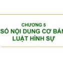 Bài giảng Pháp luật đại cương - Chương 5: Một số nội dung cơ bản của Luật hình sự