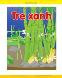 Kể chuyện theo tranh: Tre xanh