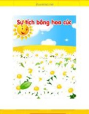 Kể chuyện theo tranh: Sự tích hoa cúc