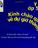 Bài giảng điện tử Khoa học lớp 5: Bài Phòng bệnh sốt xuất huyết