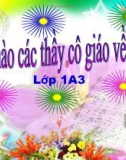 Giáo án Tiếng việt 1 bài: Nguyên âm