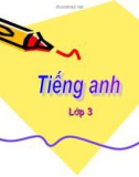 Bài giảng Tiếng Anh Lớp 3: Study animals - Học về các con vật