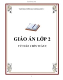 Giáo án lớp 2 - Tuần 1 đến tuần 9