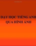 Dạy học tiếng Anh qua hình ảnh - My favorite animal