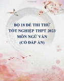 Bộ 18 đề thi thử tốt nghiệp THPT 2023 môn Ngữ văn (Có đáp án)