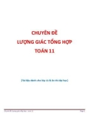 Chuyên đề Lượng giác tổng hợp Toán 11