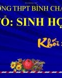 Bài giảng Sinh học lớp 12 bài 3: Điều hòa hoạt động của gen - Trường THPT Bình Chánh