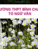 Bài giảng Ngữ văn lớp 12: Nghị luận về một ý kiến bàn về văn học - Trường THPT Bình Chánh