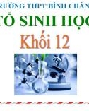 Bài giảng Sinh học lớp 12 bài 19: Tạo giống mới bằng phương pháp gây đột biến và công nghệ tế bào - Trường THPT Bình Chánh