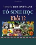 Bài giảng Sinh học lớp 12 bài 28: Loài - Trường THPT Bình Chánh