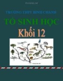 Bài giảng Sinh học lớp 12 bài 24: Các bằng chứng tiến hóa - Trường THPT Bình Chánh