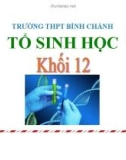 Bài giảng Sinh học lớp 12 bài 21: Di truyền y học - Trường THPT Bình Chánh