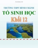 Bài giảng Sinh học lớp 12: Quá trình hình thành quần thể thích nghi và quá trình hình thành loài - Trường THPT Bình Chánh