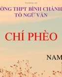 Bài giảng Ngữ văn lớp 11: Chí Phèo - Trường THPT Bình Chánh