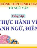 Bài giảng Ngữ văn lớp 11 - Tiếng Việt: Thực hành về thành ngữ, điển cổ - Trường THPT Bình Chánh