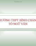 Bài giảng Ngữ văn lớp 11: Vào phủ Chúa Trịnh (Trích Thượng kinh kí sự) - Trường THPT Bình Chánh