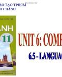 Bài giảng Tiếng Anh lớp 11 Unit 6: Competitions (Language focus) - Trường THPT Bình Chánh