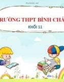 Bài giảng Hóa học lớp 11 bài 19: Luyện tập Cacbon và hợp chất của chúng - Trường THPT Bình Chánh