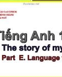 Bài giảng Tiếng Anh lớp 10 Unit 8: The story of my village (Language focus) - Trường THPT Bình Chánh