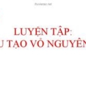 Bài giảng Hóa học lớp 10 bài 6: Luyện tập cấu tạo vỏ nguyên tử - Trường THPT Bình Chánh