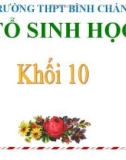 Bài giảng Sinh học lớp 10 bài 14: Enzim và vai trò của enzim trong quá trình chuyển hóa vật chất - Trường THPT Bình Chánh