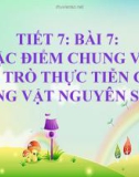 Bài giảng Sinh học lớp 7 bài 7: Đặc điểm chung và vai trò thực tiễn của động vật nguyên sinh