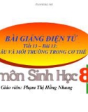 Bài giảng môn Sinh học 8 bài 13: Máu và môi trường trong cơ thể